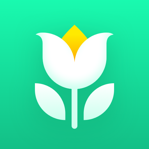 Plant Parent: Plant Care Guide cover